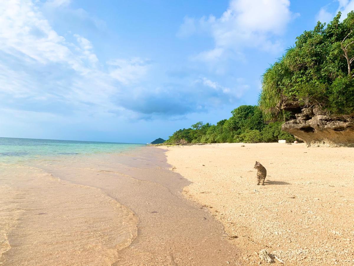 Villa Itona Ishigaki  Exteriér fotografie